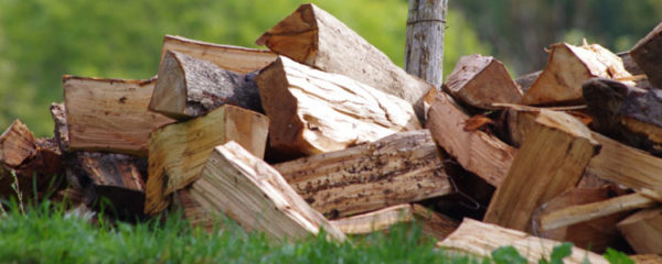 Bois de chauffage